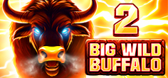 Big Wild Buffalo 2