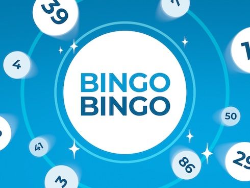 Bingo Bingo